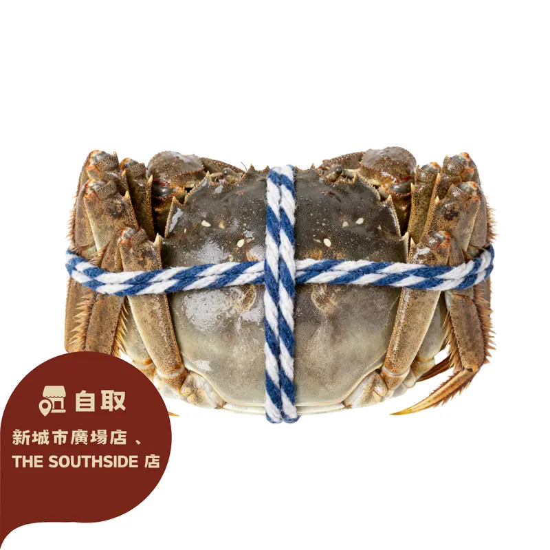 Ng Fung Jiangsu Hairy Crab