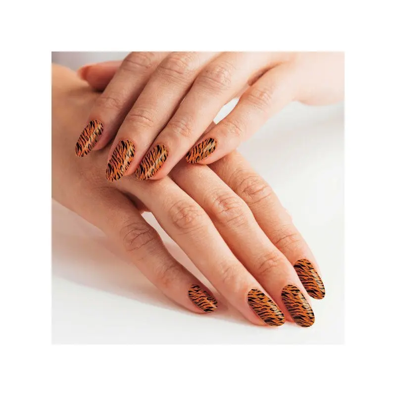 2 Color Zebra Nail Tattoo, Nail Sticker, Nail Tattoo, Nail Art