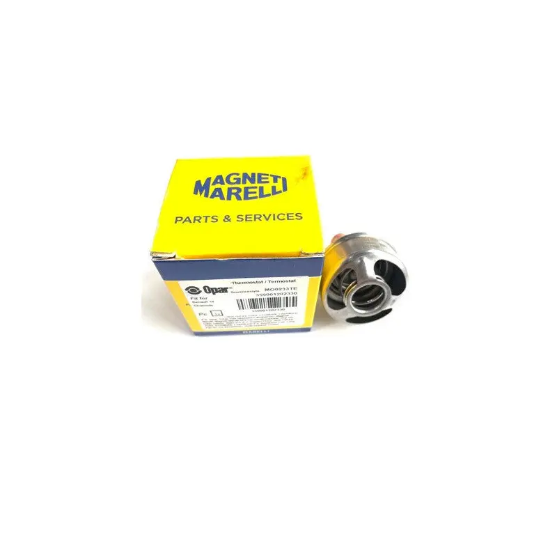 Thermostat For Renault R9