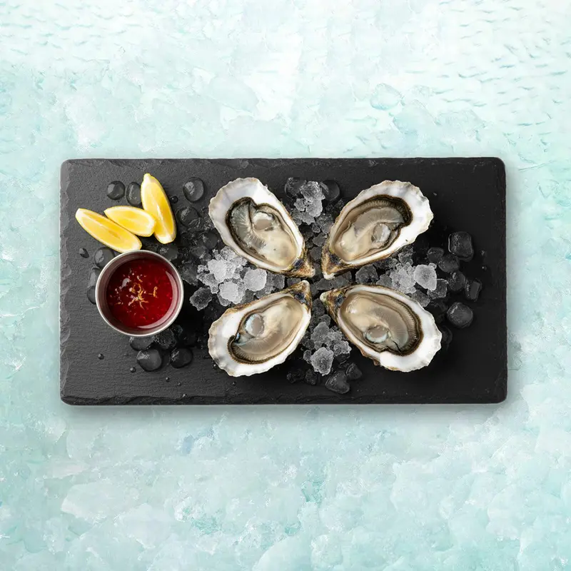 Oyster Set J (1set)