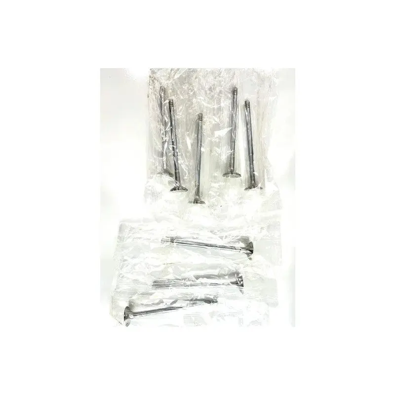 Valve Set Clio-Kango-Megan 1.5 Diesel-105317108 Compatible