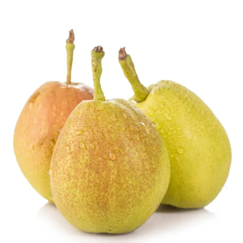 FRAGRANT PEARS