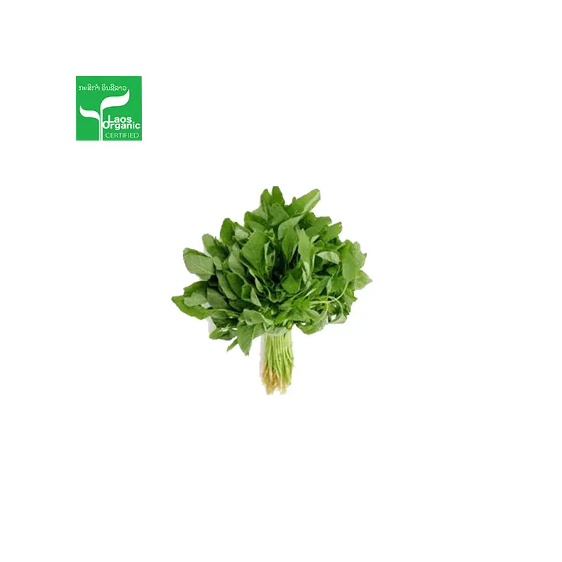 Organic Amaranthus per 500g