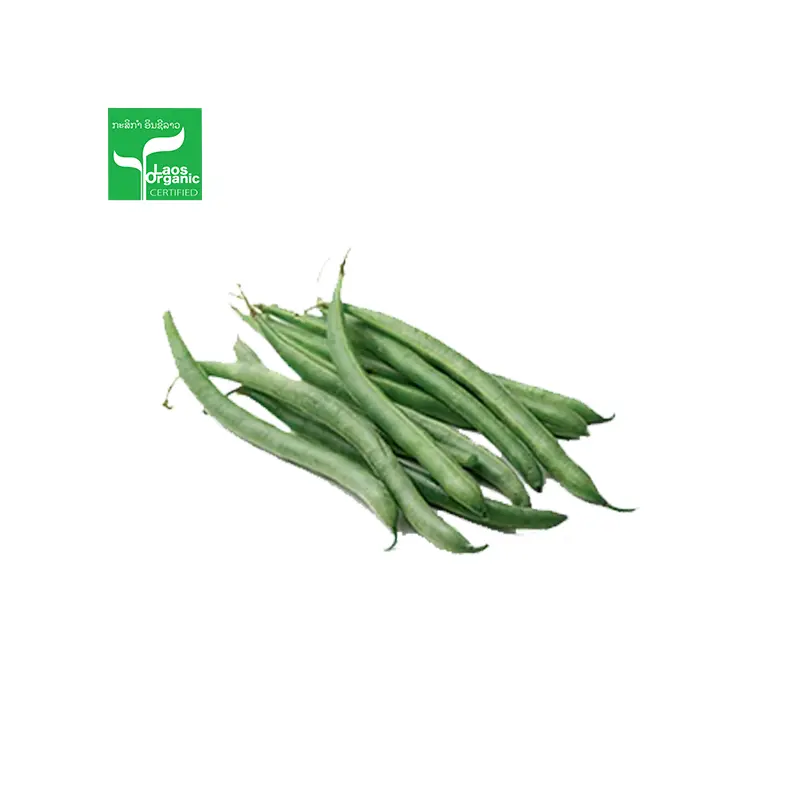 Organic Bush Beans per 500g