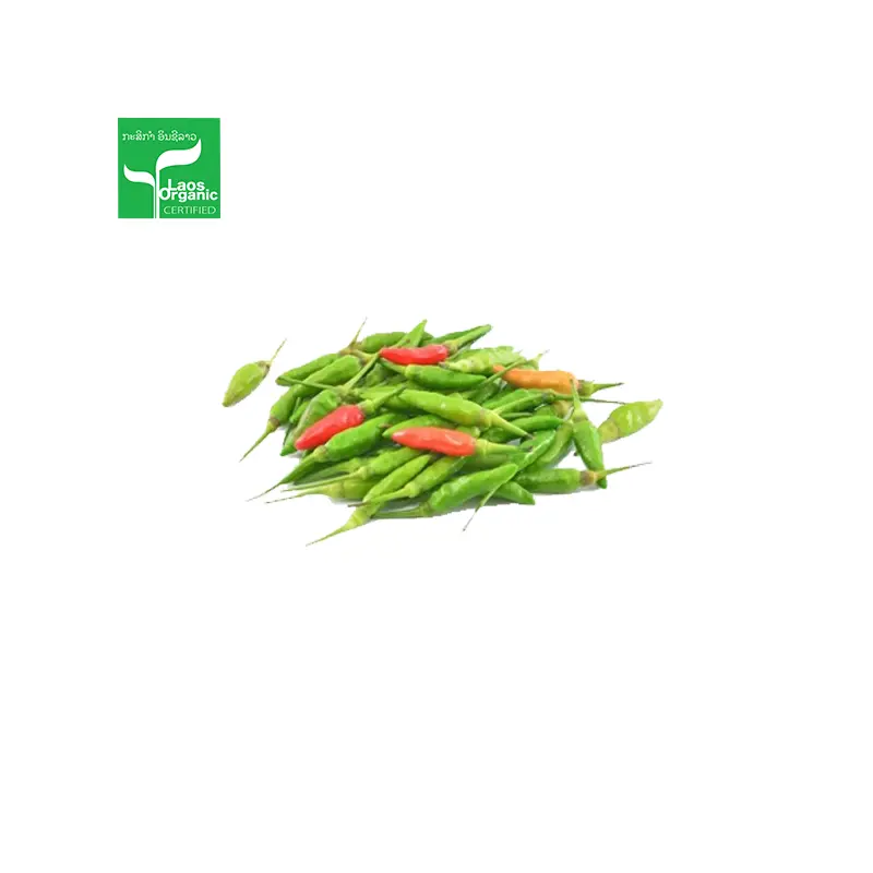 Organic Chili Mini 500g