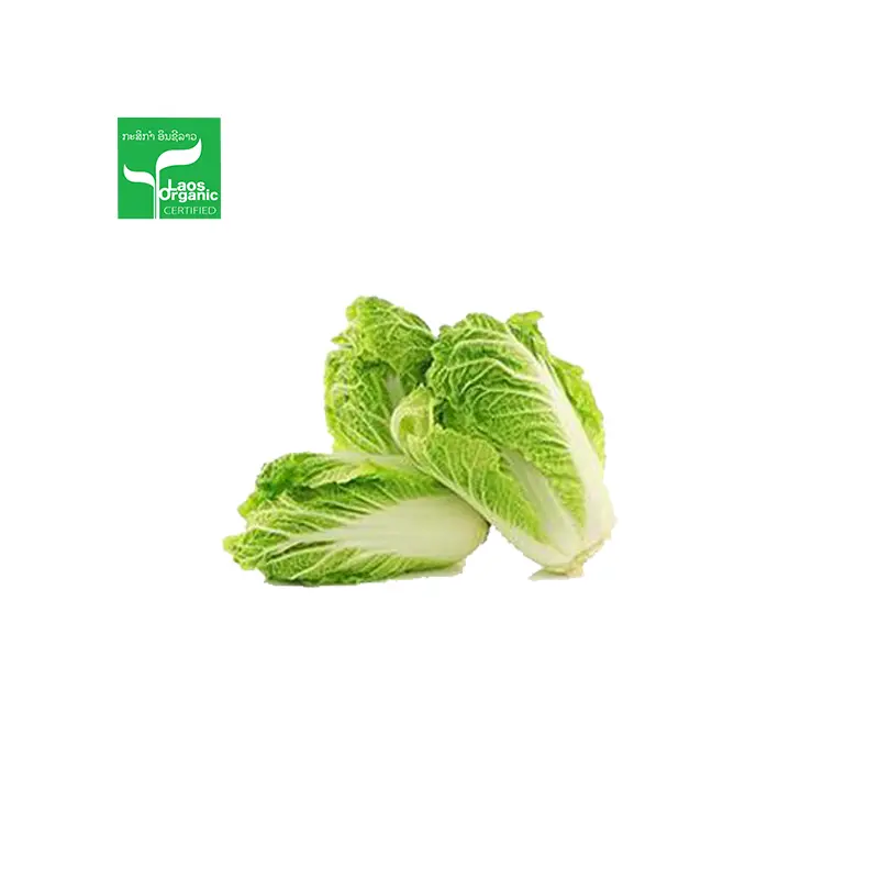 Organic Chinese Cabbage per 500g