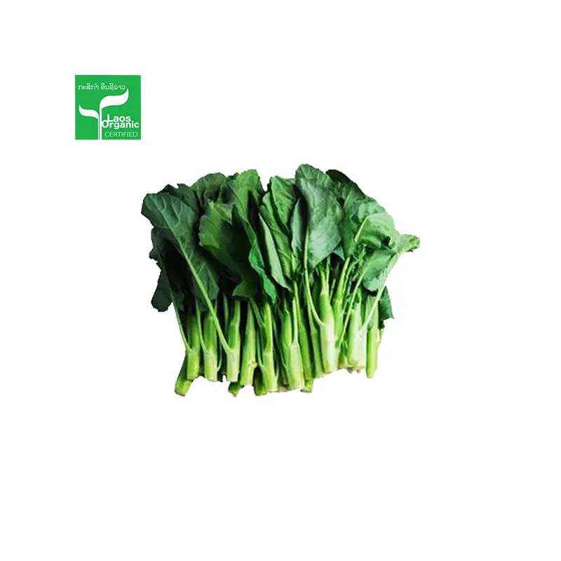 Organic Chinese Kale 500g