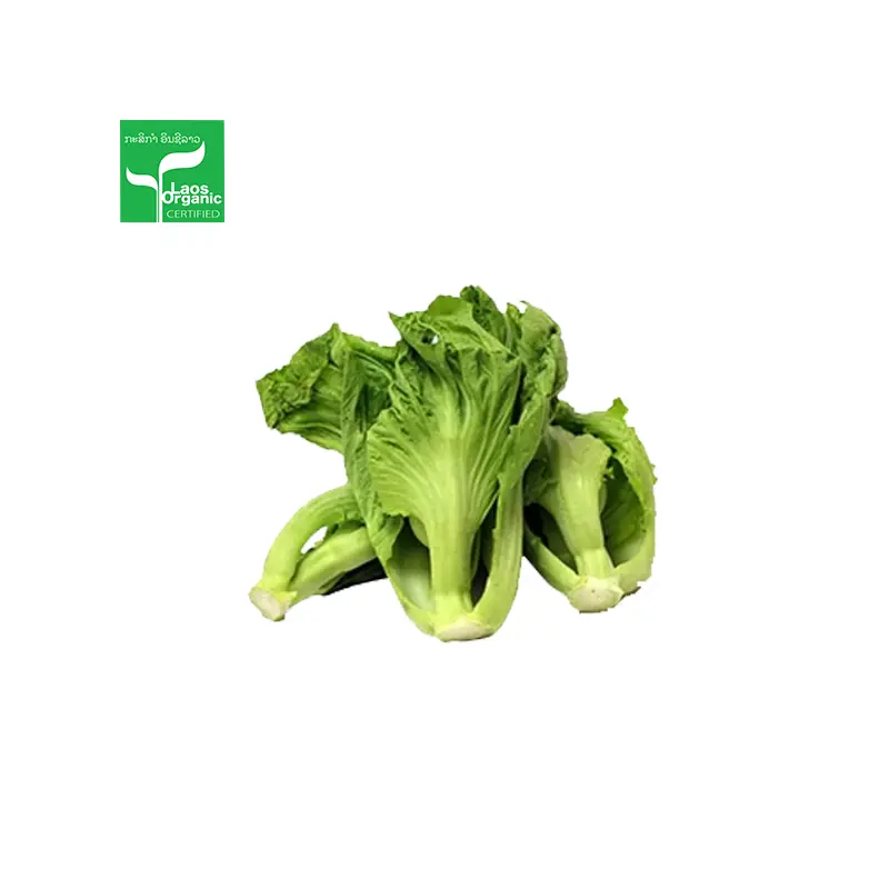 Organic Chinese Mustard Greens  per 500g