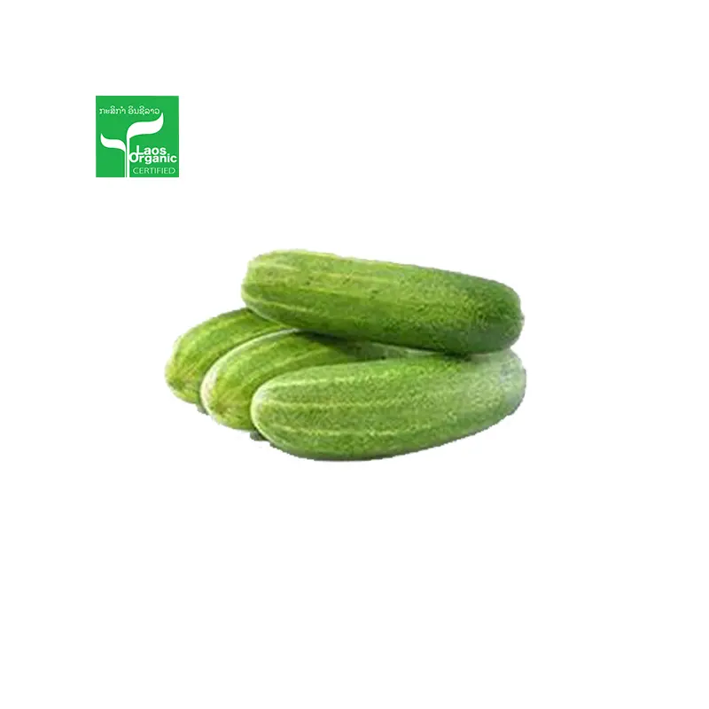 Organic Cucumber per 1kg