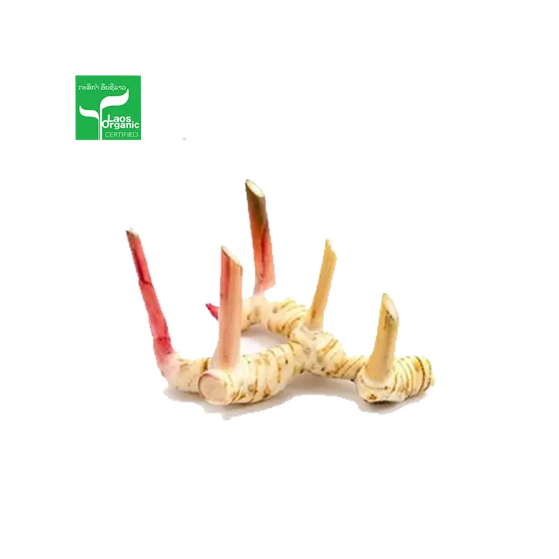 Organic Galanga Root per 500g