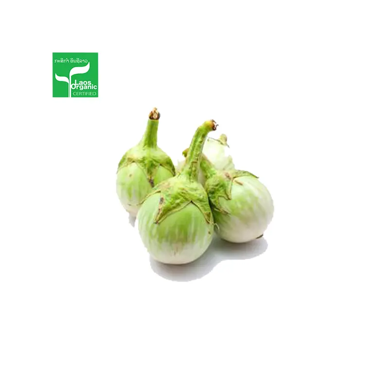 Organic Round Eggplant 0.5kg