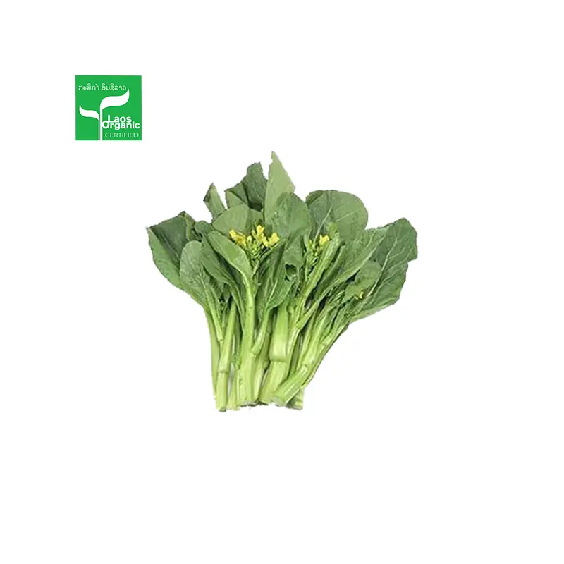 Organic Choy Sum per 0.5kg