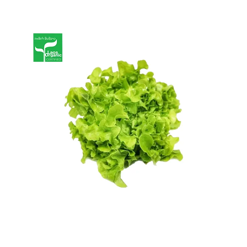 Organic Green Oak Salad per 0.5kg