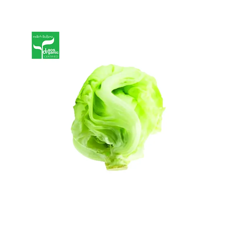 Organic Iceberg Salad per 0.5kg