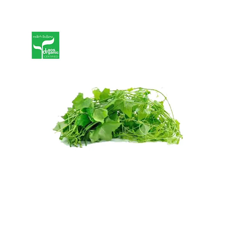 Organic Ivy Gourd 0.5kg