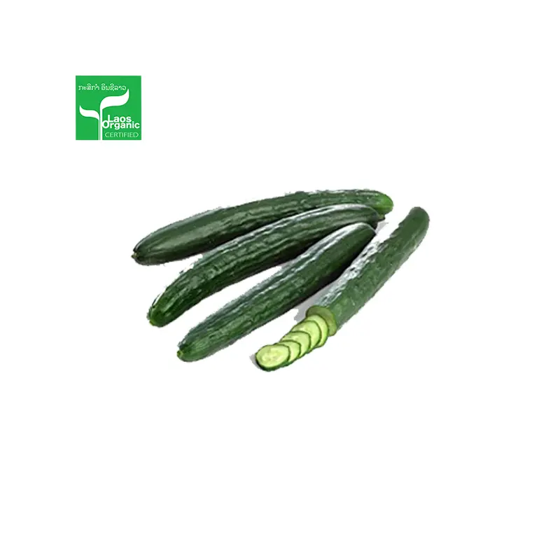 Organic Japanese Cucumber per 0.5kg