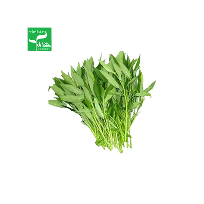 Organic Morning Glory 0.5kg