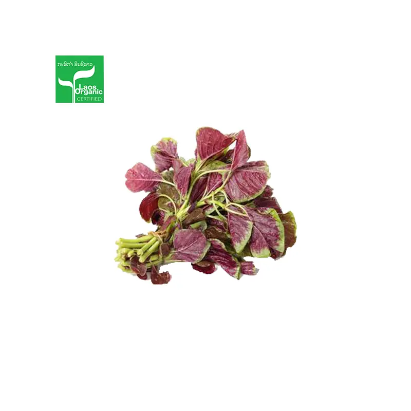 Organic Red Amaranthus 0.5kg