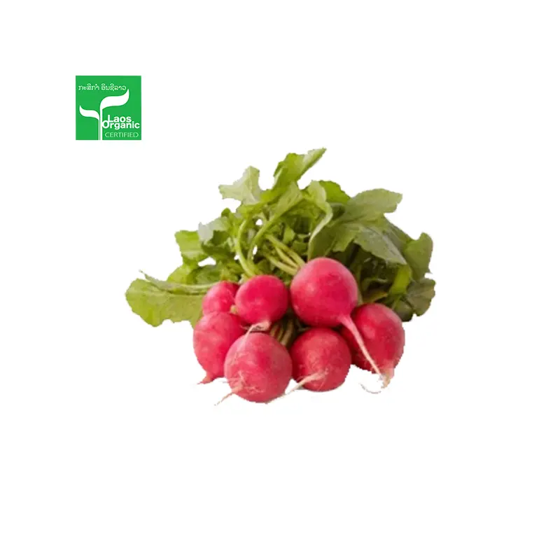 Organic Red Radish per 0.5kg