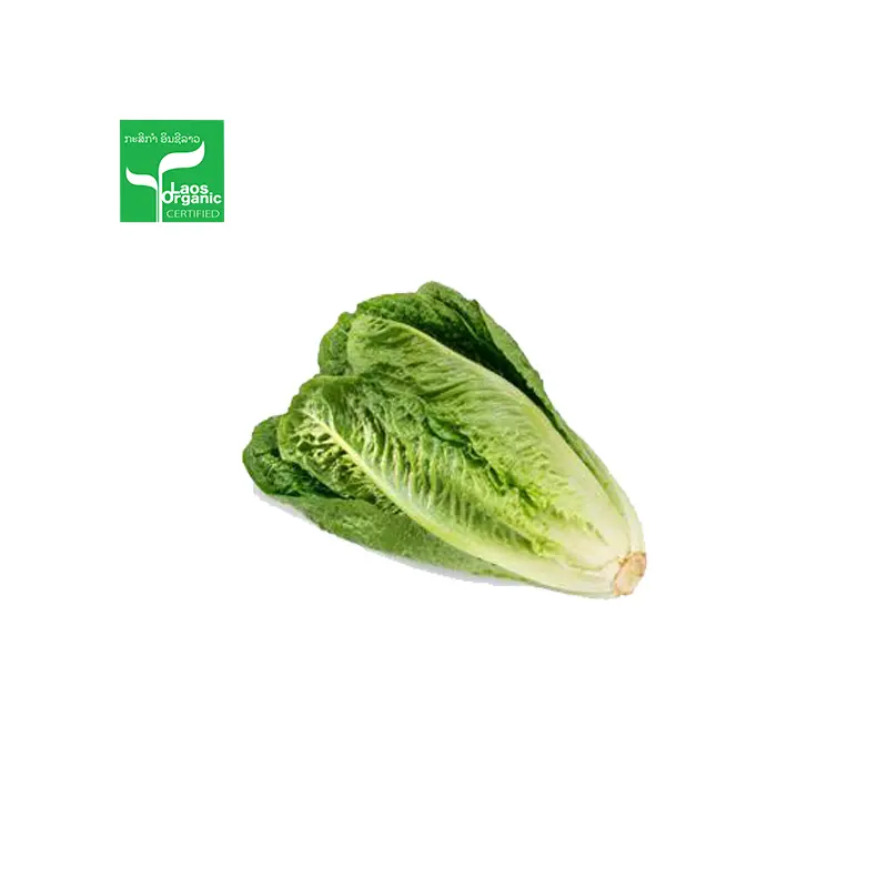 Organic Roman Salad 0.5kg