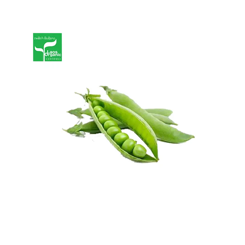 Organic Snap Beans 0.5kg