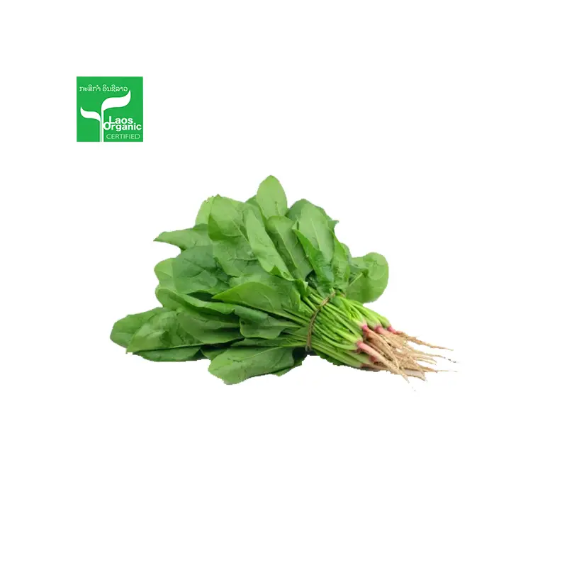 Organic Spinach per 0.5kg