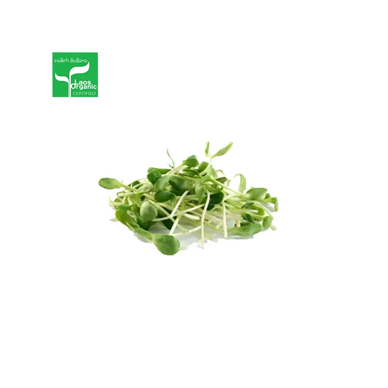 Organic Sunflower Sprouts per 350g bag