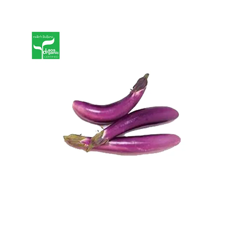 Organic Thin Purple Egg Plant 0.5kg