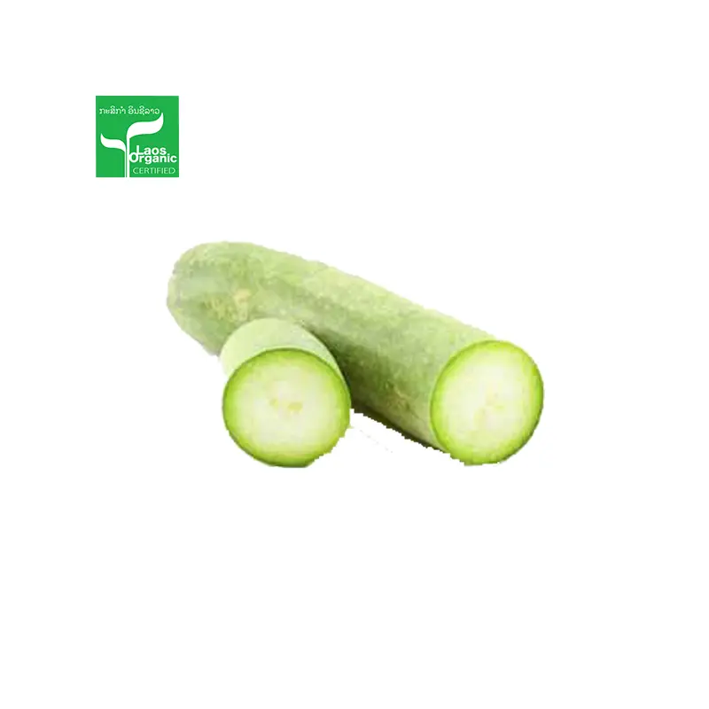 Organic Wax Gourd 0.5kg