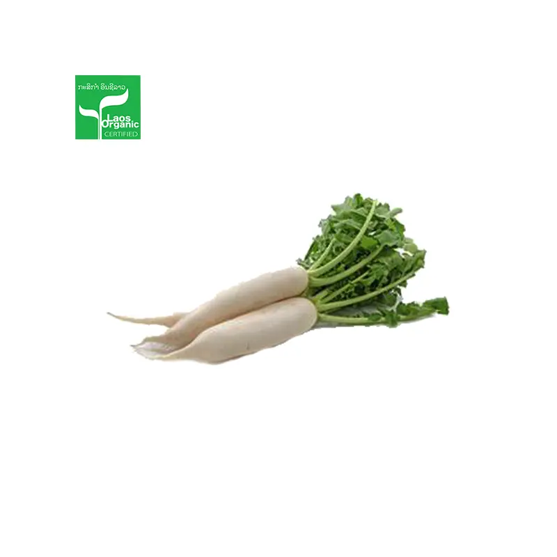 Organic White Radish per 0.5kg