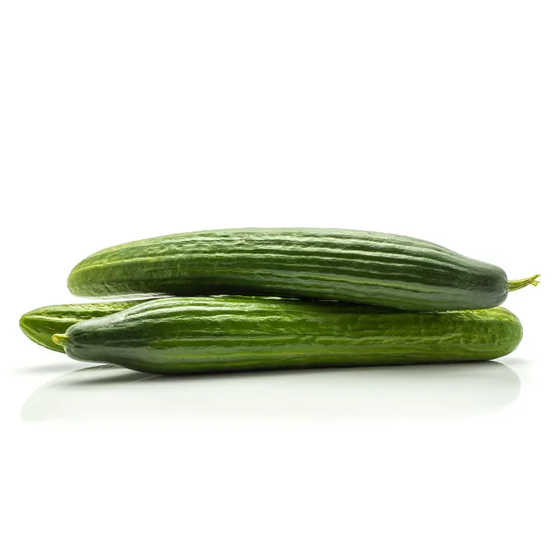 ENGLISH CUCUMBERS