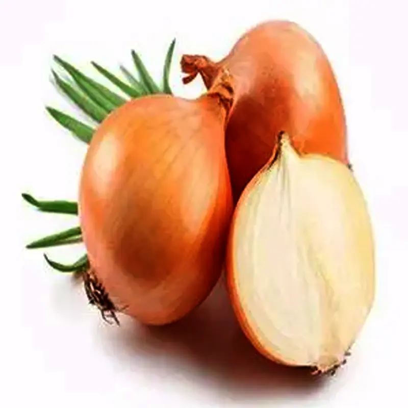 Fresh Onions per 1kg