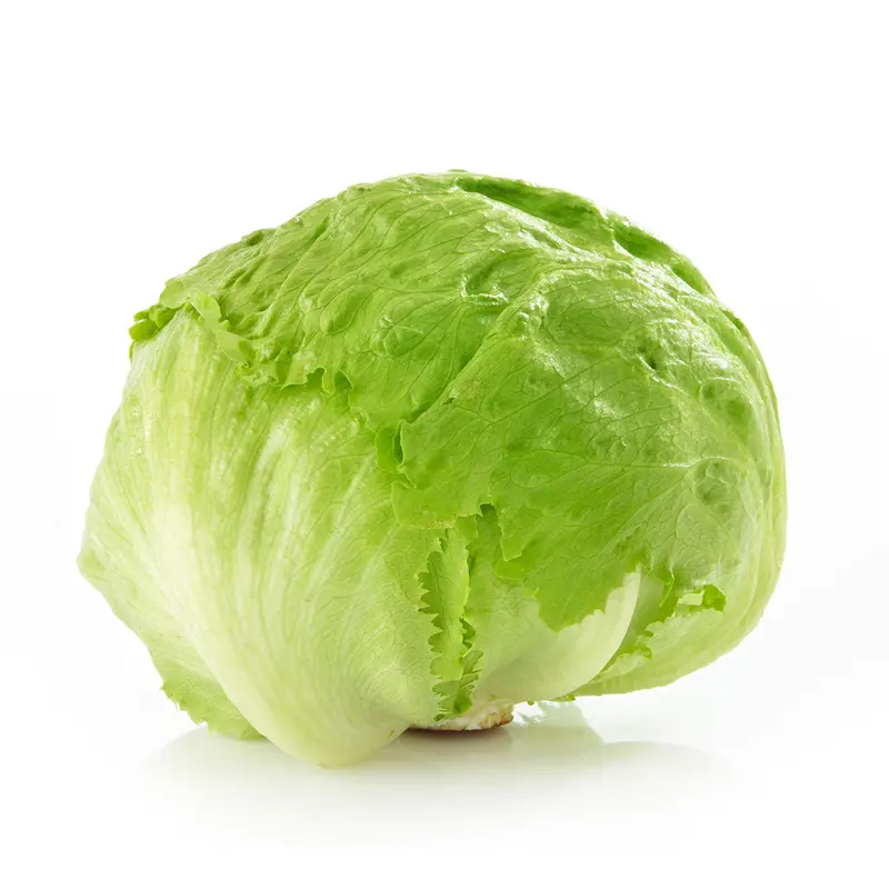 ICEBERG HEAD LETTUCE