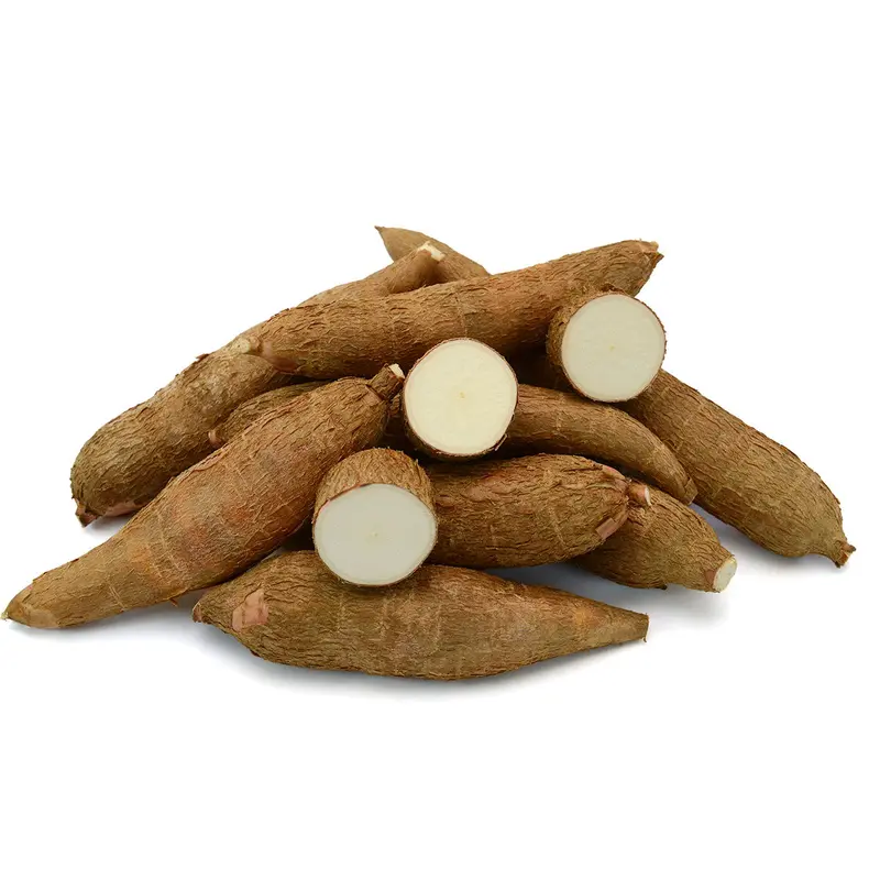 MANIOC/CASSAVA/YUCCA