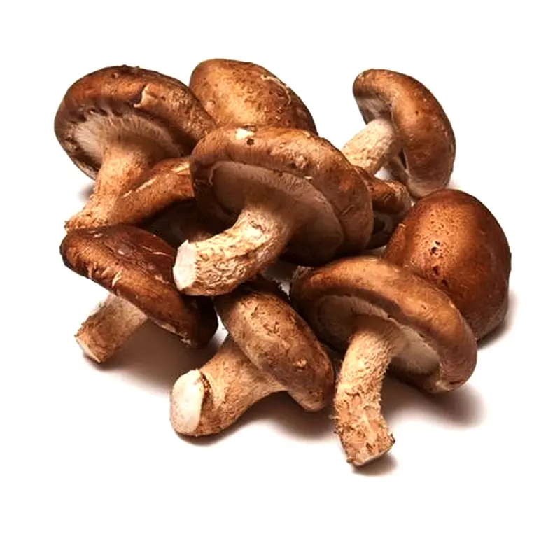 Fresh Shitake Mushroom pack of 200g