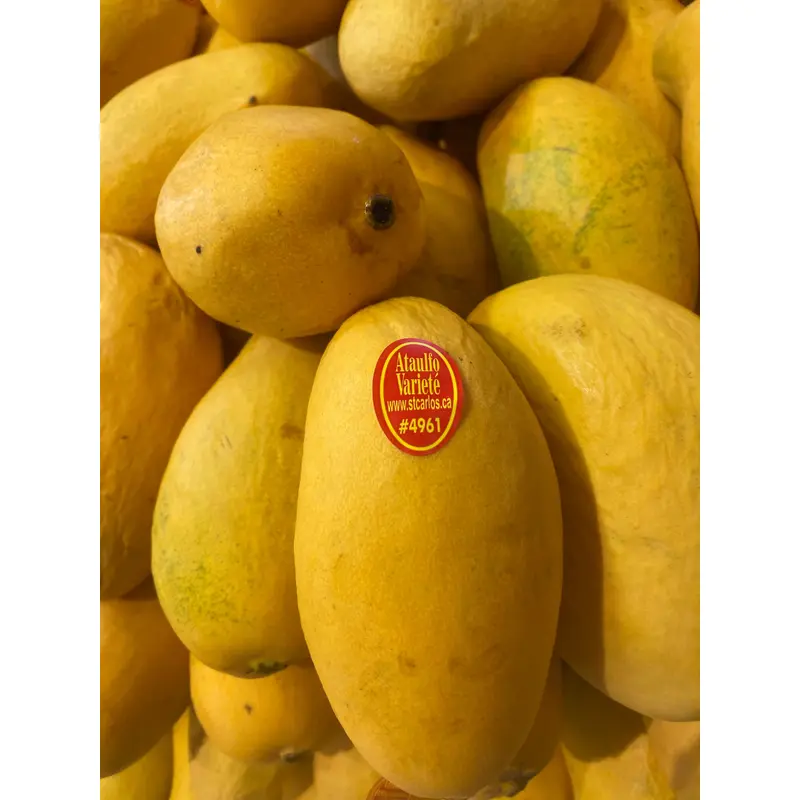 Altaulfo Mango