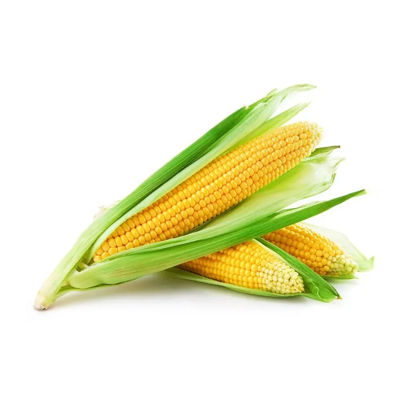 Sweet Corn * 3