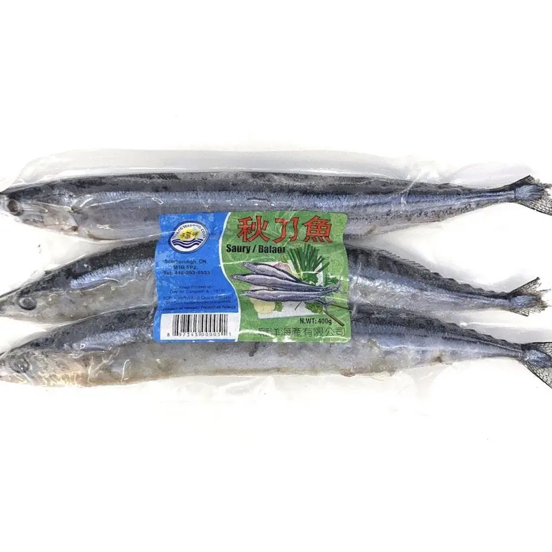 Fu Yang Saury