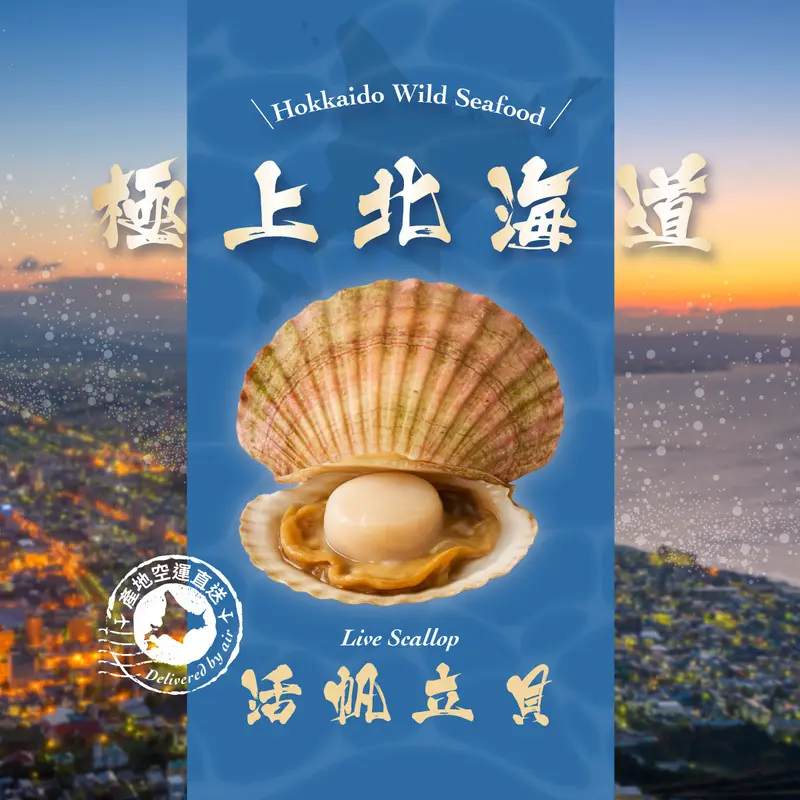 KANESHIME-C Japan Hokkaido Live Scallop (pc)