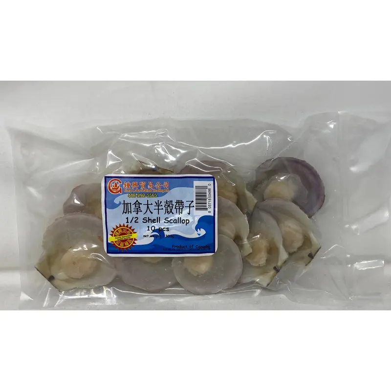 Great Lake Shell Scallop