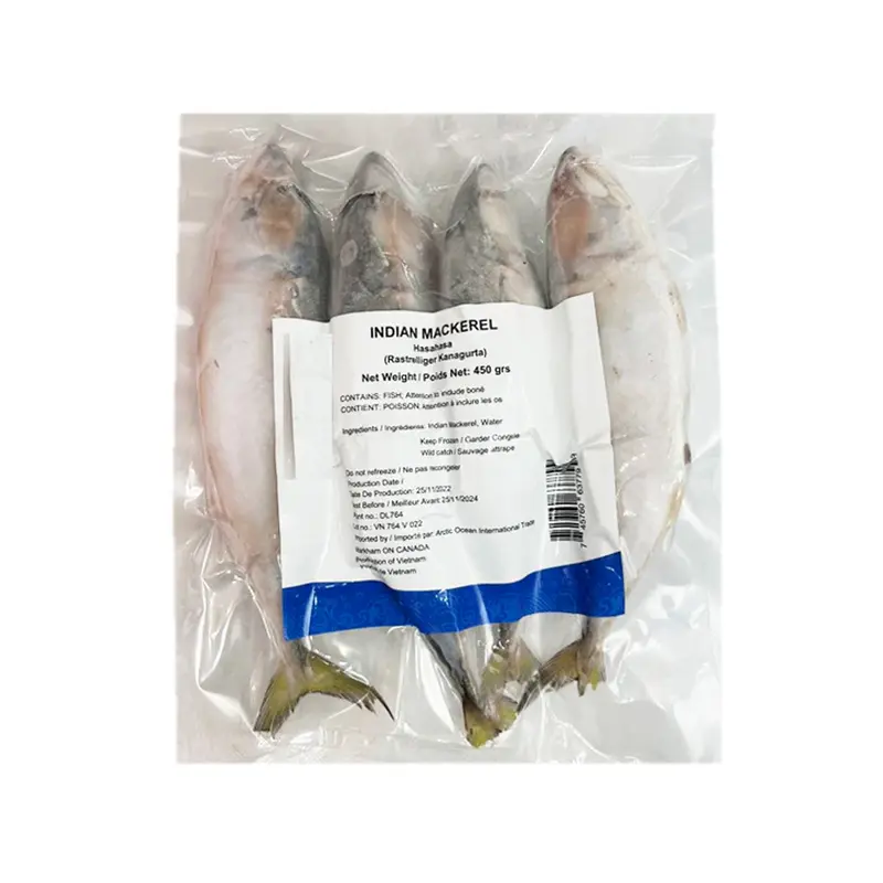 Arctic Indian Mackerel