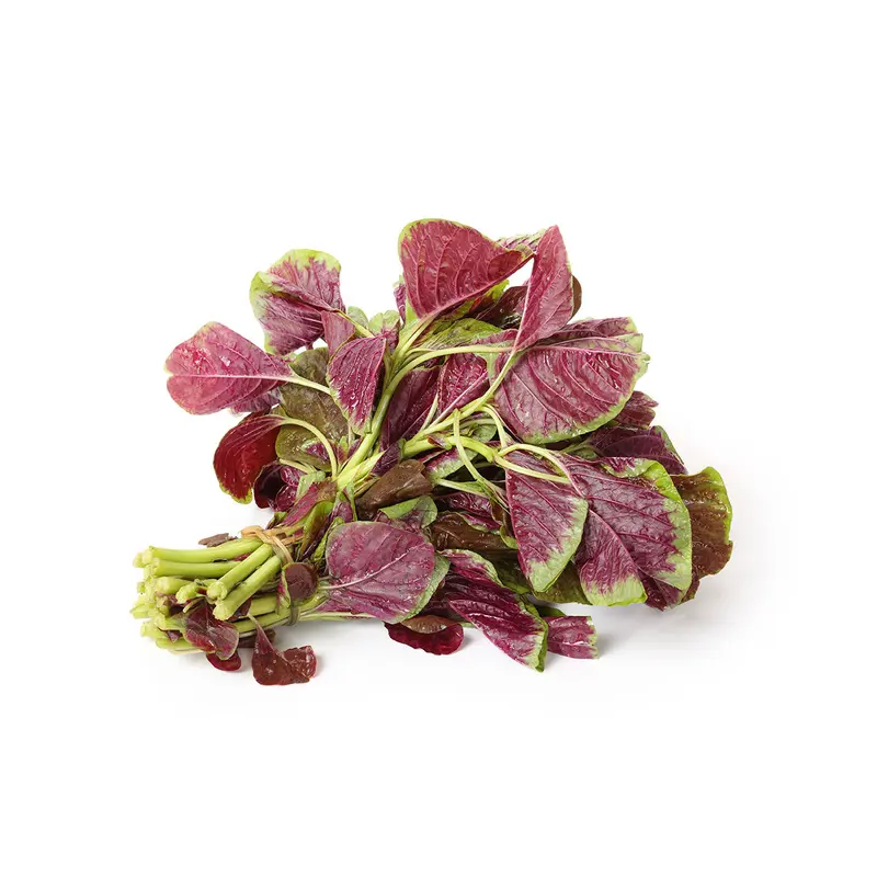 RED AMARANTH