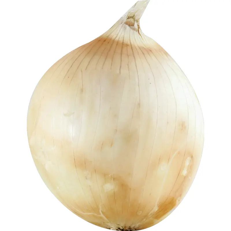 Sweet Onion