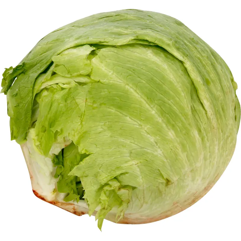 Iceberg Lettuce