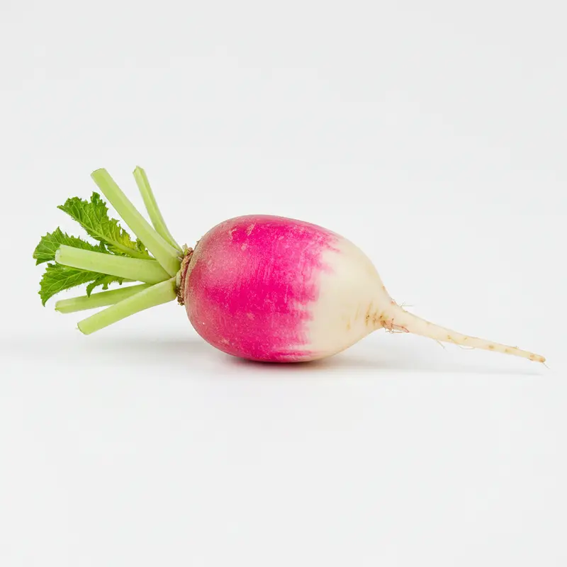 Organic Watermelon Radish