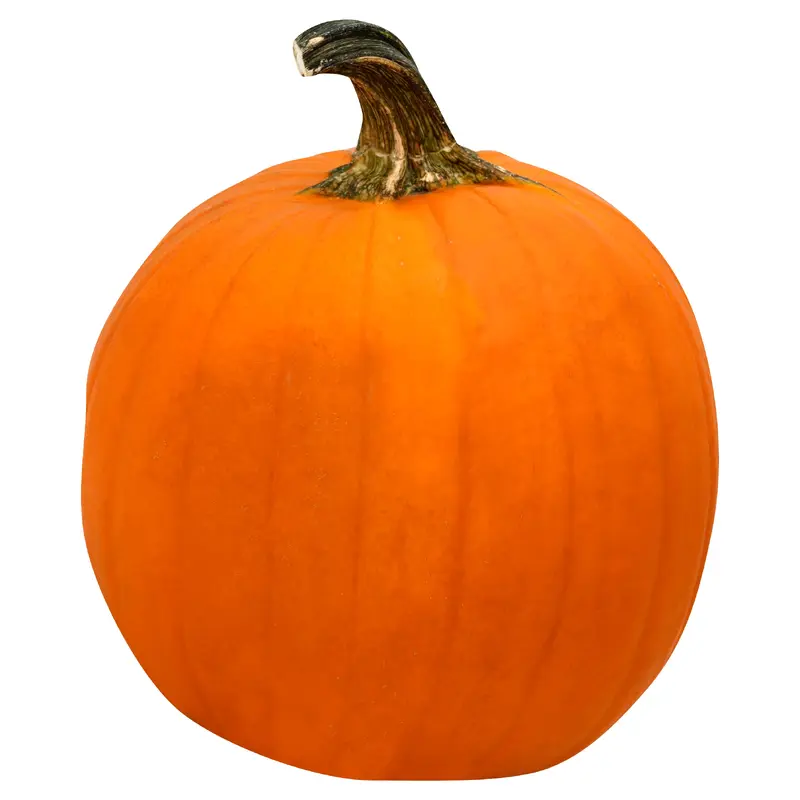 Large Pumpkin