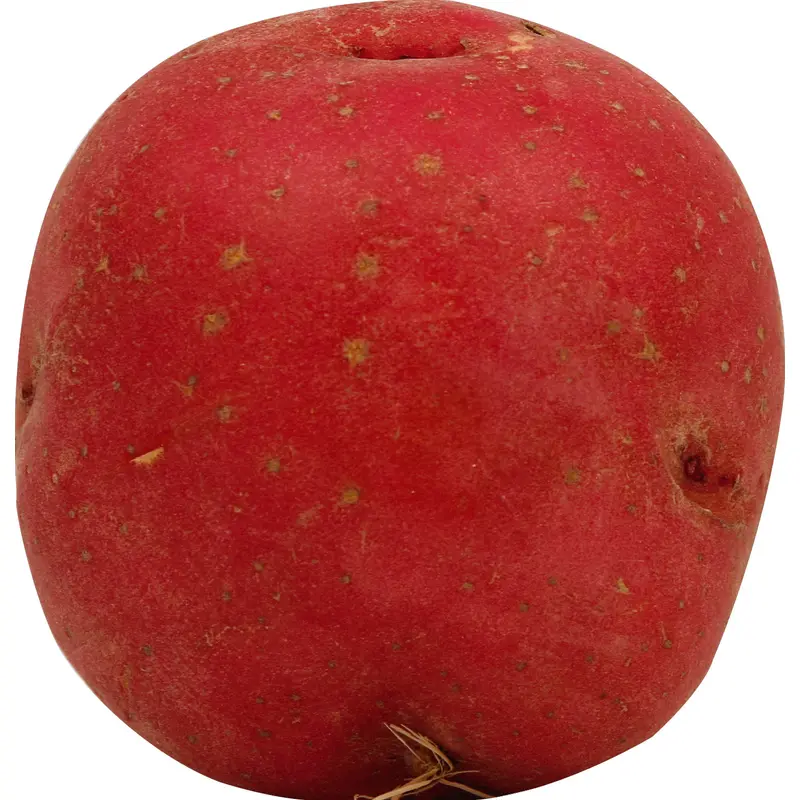 Organic Red Potato