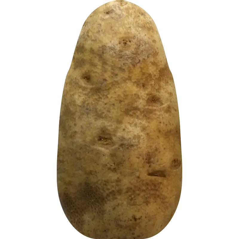 Organic Russet Potatoes