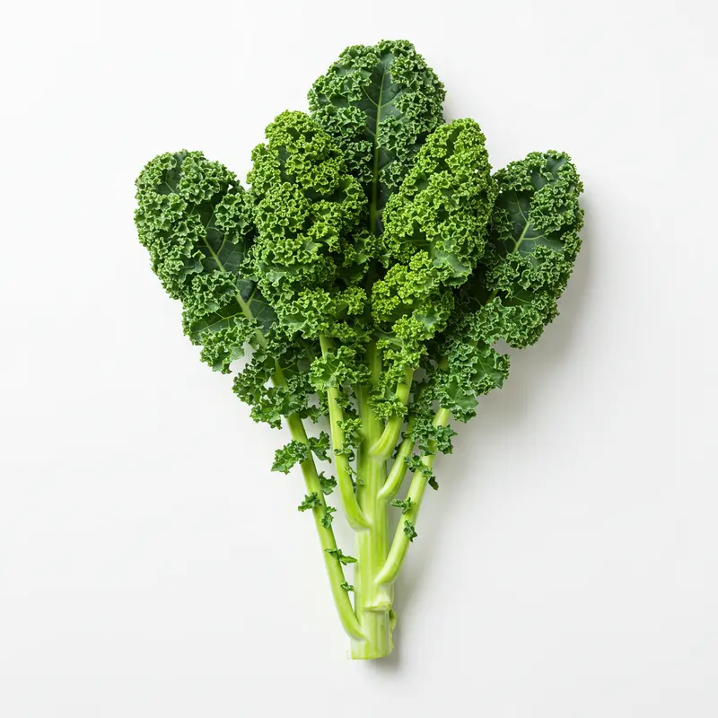 Organic Lacinato Kale