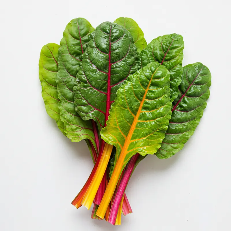 Organic Rainbow Chard